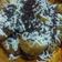 Cooksnap dari Maretha Andawaneri untuk resep Singkong Goreng coklat keju