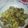 Tracey Lebray's cooksnap of when they made Skillet zucchini and yellow squash.