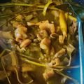 Cooksnap dari Queenyra Agatha untuk resep Babat Paru Goreng khas Madura
