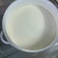Cooksnap của Phương Nguyễn khi họ làm theo món Sữa chua Hy Lạp - Greek Yogurt