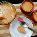 Soma Roy's cooksnap of when they made লাল মিষ্টি দই(lal mishti doi recipe in Bengali).