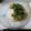 El cooksnap de AnnAnn cuando hizo Pollo Teriyaki.