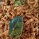 Cooksnap dari Susanti untuk resep Orek Tempe Kering Pedas Manis🍁