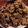 El cooksnap de Araceli cuando hizo Galletitas de avena, mandarinas y pasas de uvas 🍪.