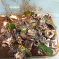 Cooksnap dari amelia rizqiana untuk resep Cumi hitam endull 🦑