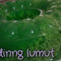 Cooksnap dari Adelita Setyani untuk resep Puding lumut pandan 🍃