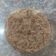 mitu madlani's cooksnap of when they made હોમમેડ સુઠ પાઉડર (Homemade Sooth Powder Recipe In Gujarati).