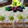 Cooksnap dari Rani Firgana untuk resep Chantilly Cake-nya BreadTalk ("-")