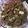 Cooksnap dari Rolita Saimima untuk resep Soun goreng kecap