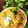 Shivani Mathur's cooksnap of when they made Kanda Poha.