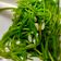 chun手作料理食堂 的 蒜香炒水蓮 cooksnap