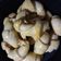 El cooksnap de Veroo Navarrete cuando hizo Medialunas Saladas! súper fácil!.