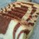 Cooksnap dari Bo A Bo untuk resep Ogura cake zebra with coconut milk