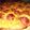 il Antonella Acquaviva Luca Castronuovo quando ha preparato Focaccia con impasto ad alta idratazione
