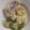 Cooksnap dari Mimi ReeNa untuk resep Dori With Garlic Lemon Butter Sauce