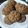 El cooksnap de Marina Gabriela Specchiulli cuando hizo Galletas de avena y miel.