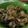 Cooksnap dari Ningtyas untuk resep Ayam Goreng Mentega