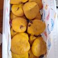 Kuruczné Gyetván Éva Cooksnap-ja, amikor elkészítette a(z) Sütőtökös aprósütemény🍪 receptet.