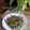 Cooksnap Hani Shaimi semasa beliau membuat Kangkung Goreng Pedas.