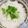 chef Nidhi Bole's cooksnap of when they made જીરા ભાત (Jeera Bhat Recipe In Gujarati).