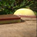 Cooksnap dari Pulung Prasiwi untuk resep Puding Alpukat Milo