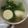 Cooksnap dari Uwi Siti Nurjanah untuk resep Sup Miso Tahu Jepang