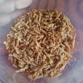 Cooksnap dari Arni Fp untuk resep Abon Keju Basic