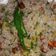 Madhvi Dwivedi का कुकस्नैप जब उन्होंने चटपटे साबूदाना खिचड़ी (Chatpat sabudana khichdi recipe in Hindi) बनाया था।