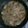 Cooksnap dari noraertanti untuk resep Egg tofu + enoki saus tiram