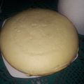 El cooksnap de Yanina Elizabeth Gomez cuando hizo Bizcochuelo en olla Essen.