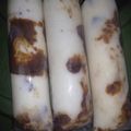Cooksnap dari Rosa Julianti untuk resep Es lilin Mambo Choki Choki