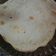 El cooksnap de Sole López cuando hizo Tortillas Mexicanas.