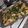 El cooksnap de CANCH LOCURA cuando hizo Fideos gratinados con crema y jamón.