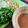 Cooksnap dari Emak Ziyad_ untuk resep Pecel sayur gak pake ribet