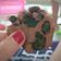 Cooksnap dari Mama untuk resep Goodtime Cookies