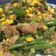 Cooksnap dari Cicile untuk resep Buncis Tuna dengan Jagung Manis