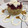El cooksnap de Elena Fdez cuando hizo Ensalada de quinoa con queso feta y mayonesa de soja.