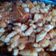 El cooksnap de María Del Rosario González cuando hizo Ñoquis de papas.
