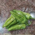 mitu madlani's cooksnap of when they made તળેલા લીલા મરચાં (Fried Lila Marcha Recipe In Gujarati).