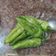 mitu madlani's cooksnap of when they made તળેલા લીલા મરચાં (Fried Lila Marcha Recipe In Gujarati).