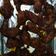 Cooksnap dari Elsa Rosalina untuk resep Chicken Wing ala PH