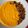 El cooksnap de César Angulo González cuando hizo Crema de calabaza 🎃y zanahorias 🥕 con garbanzos crujientes.