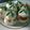Cooksnap dari Richa Rich untuk resep Awug Tepung Beras