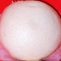 Cooksnap dari Devi santika Utami untuk resep Bakpao/Pao Menul" (step by step)