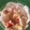El cooksnap de abejita zumbona cuando hizo Fresas con plátanos en salsa de yogurt y fedeos de chocolate.