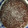 El cooksnap de Valee Andreoli cuando hizo Bizcochuelo súper esponjoso (Sirve para rellenar y decorar).
