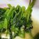 姍姍好食光 的 蒜炒菠菜 cooksnap