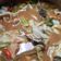 Cooksnap dari Maya untuk resep Tongseng Ayam Ala JTT #pr_adakecapmanisnya
