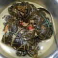 Cooksnap dari Erriana Fitri Yani untuk resep Buntil Daun Pepaya