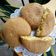 Cooksnap dari Winny Yus Permatasari untuk resep Coffee Bun (Mexican Coffee Bun)